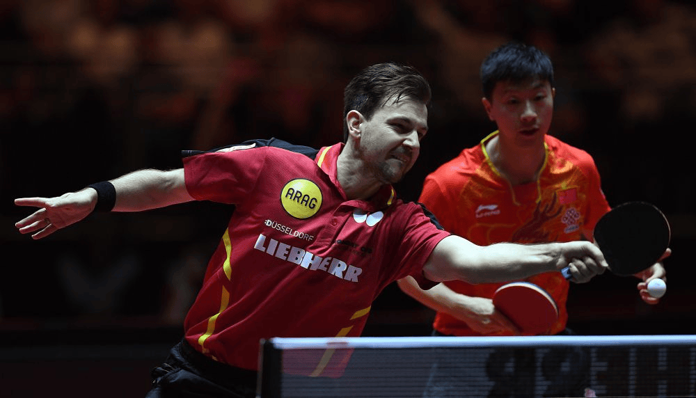 法国乒乓球队血洗奥地利乒乓球队，波尔打破历史纪录的简单介绍