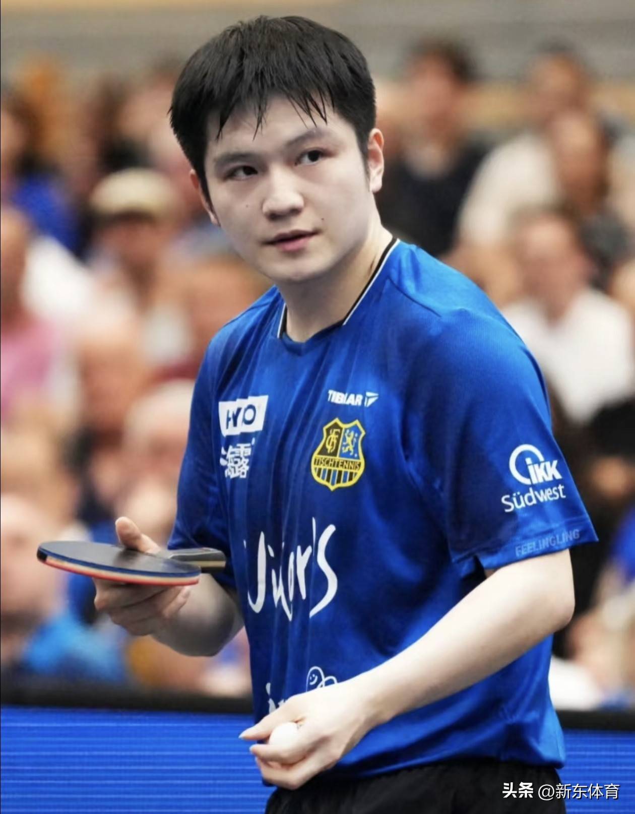 瑞典乒乓球队翻盘中国乒乓球队，樊振东统治全场的简单介绍