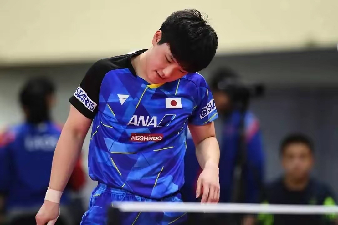 关于波兰乒乓球队力克法国乒乓球队，张本智和打破历史纪录的信息