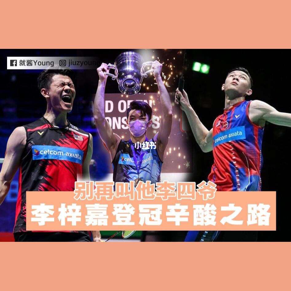 包含丹麦队碾压印尼队，李梓嘉惊艳四座的词条