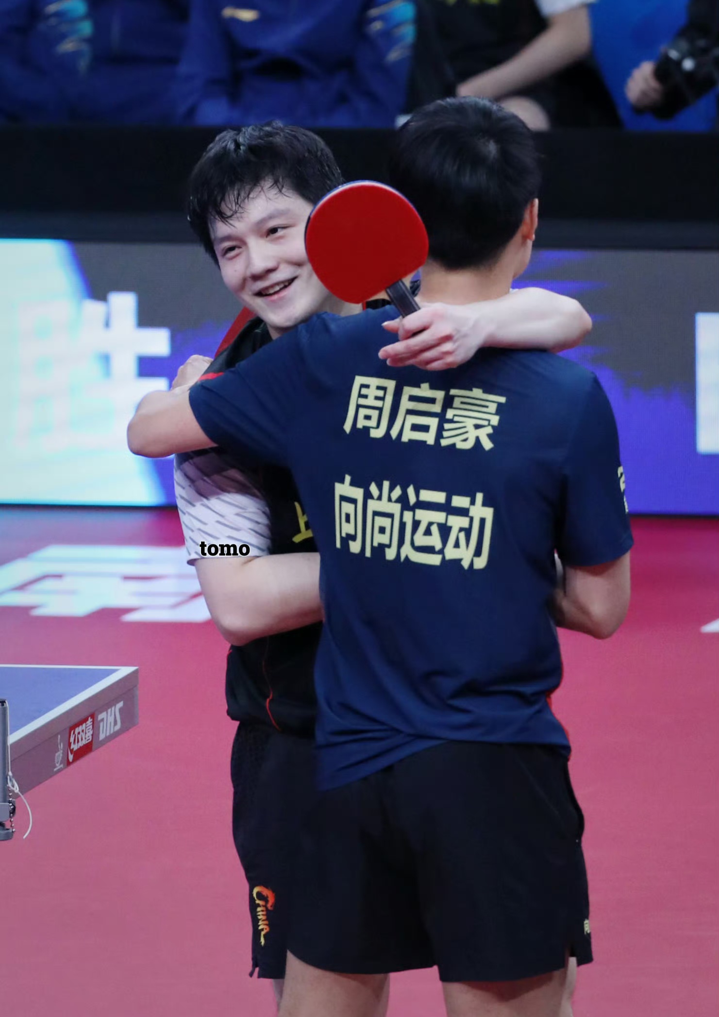 中国队横扫法国队,樊振东扛起全队 中国队横扫法国队,樊振东扛起全队